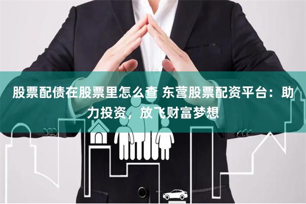 股票配债在股票里怎么查 东营股票配资平台：助力投资，放飞财富梦想